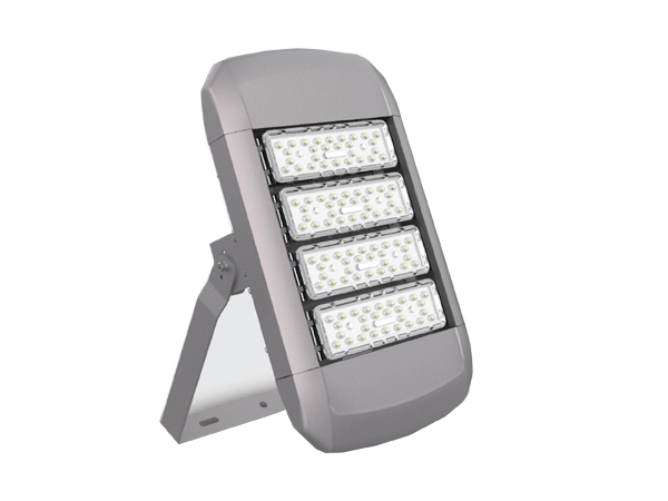 LED Flood Light