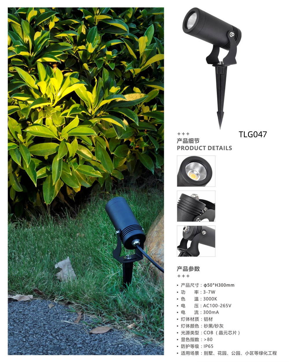 TLG047 da.jpg